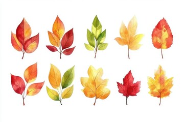 Fototapeta premium A collection of watercolor leaves in various autumn colors.