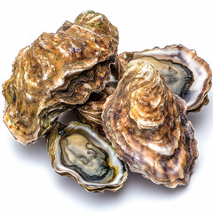 Fresh Oysters on White Background, Seafood Delicacy