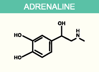 Adrenaline Chemical Structure Illustration