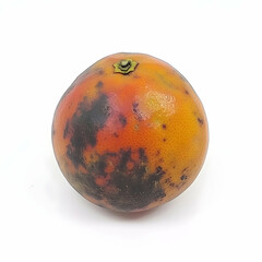 Fototapeta premium Spoiled orange on white background