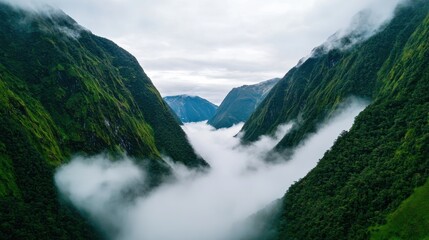 Obraz premium Lush green valleys shrouded in mist, with mountains rising steeply on either side, create a serene and dramatic landscape.
