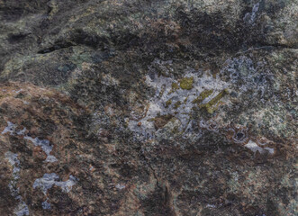 Rock Close To Shoreline