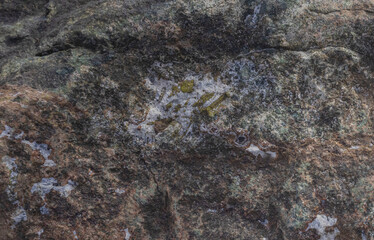 Rock Close To Shoreline