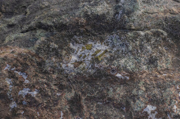 Rock Close To Shoreline