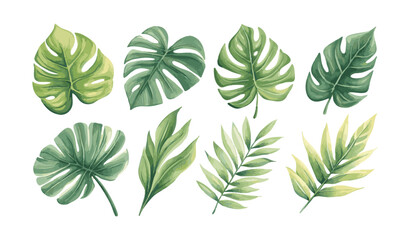 Set of watercolor leaf collection hand drawn design vector element. botanical set of tropical foliage branch for wedding poster invitation design element
