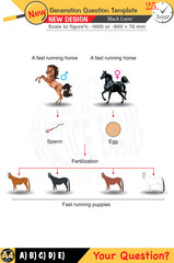 Physics, Physical concepts, High school, middle school, exam question template, numerical lessons, verbal lessons, Next generation problems, for teachers, editable, black layer, eps