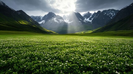Obraz premium A breathtaking landscape featuring lush green fields surrounded by majestic mountains under a dramatic sky with rays of sunlight breaking through clouds.
