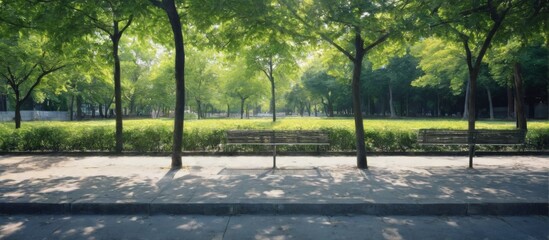 Serene Park Scene: Metal Benches Facing Each Other Under Canopy of Green Trees on Concrete Ground