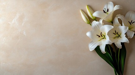 White lilies sympathy card background