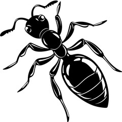 High-Quality Ant Vector Illustrations for Free & Premium Downloads