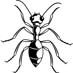 High-Quality Ant Vector Illustrations for Free & Premium Downloads