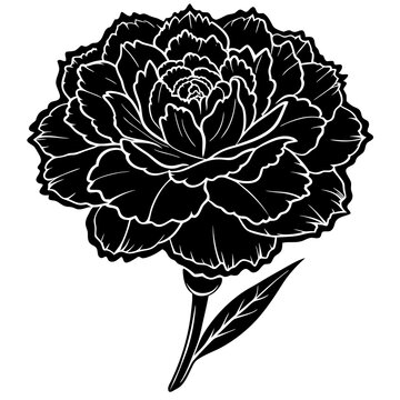 black and white carnation flower drawing clip art preview