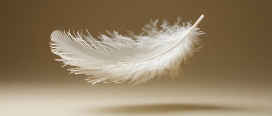 Delicate White Feather Floating Gently on a Warm Beige Background in Soft Studio Light