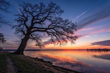 Long Exposure:  Streaming Nature's Symphony via Wireless Connectivity
