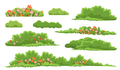Cartoon-style green bushes with colorful flowers on white background. 