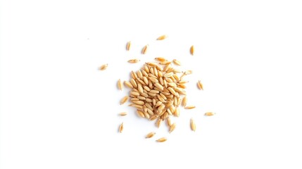 Oat grains pile, white background, food ingredient