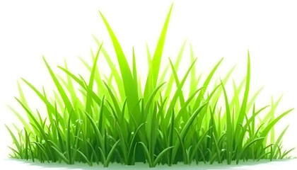 Obraz premium A Clump of Vibrant Grass