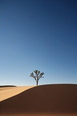 arafed tree in the desert with a blue sky in the background