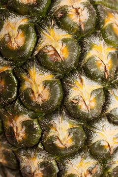 Close up macro photo of fresh pineapple pattern skin