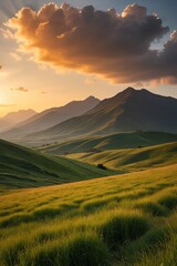 Fototapeta premium grassy field with mountains in the distance at sunset