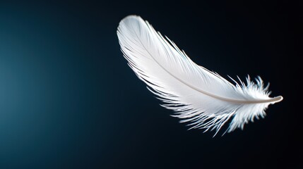 Naklejka premium A delicate white feather floats gracefully against a dark background, embodying lightness and purity.