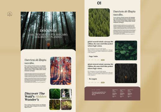 Natural News Letter Template