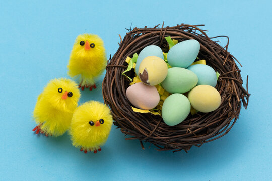 Easter chicks with candy eggs in a nest.