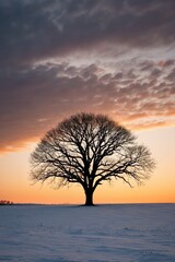 Fototapeta premium arafed tree in a snowy field with a sunset in the background