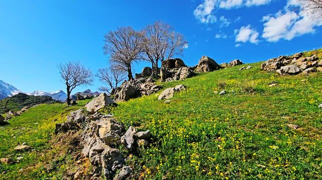 Scenic hill with rocky outcrops and wildflowers under a bright blue sky.
📍Hawraman Takht - Kurdistan 