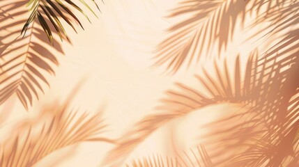 abstract background with palm shadow on a soft plain wall
