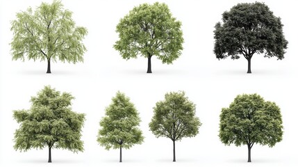 Obraz premium Eight trees displayed in a grid, showcasing different leaf colors and shapes, representing diverse species and seasonal variations.