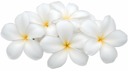 Fototapeta premium A bouquet of white snowdrops and flowers on a white background