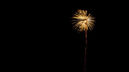 Fototapeta premium Golden Firework Display Illuminates Night Sky in Celebration
