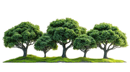 Obraz premium Grove of Trees: Four lush, green deciduous trees stand in a row on a small grassy knoll, their full canopies providing a vibrant image of nature's beauty. 