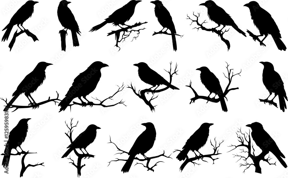 Wall mural set of different crows on tree branch silhouette on white background