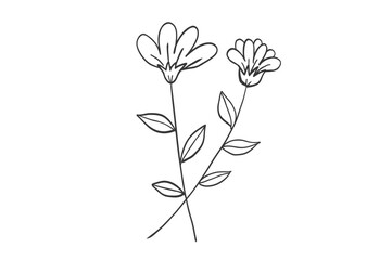 Obraz premium 花のシンプルな線画イラスト