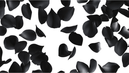 Elegant black gradient floral petals, delicate arrangement, transparent background, versatile design element for various projects