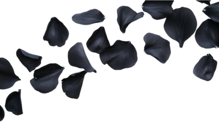 Floral Petals on Black Gradients, vibrant petals scattered against a dark backdrop, ideal for elegant designs and digital art projects