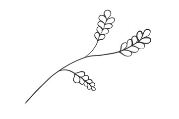 植物のシンプルな線画イラスト