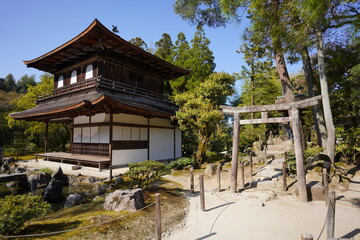 Fototapeta premium 京都の東山区に鎮座する銀閣寺