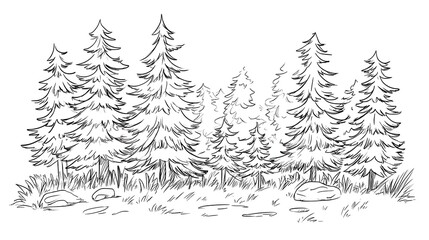 Obraz premium tree in the grass
