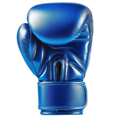 blue boxing gloves
