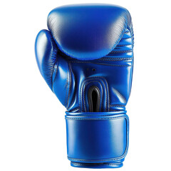 blue boxing gloves
