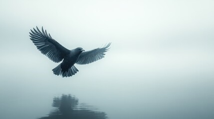 Obraz premium Bird flying over misty lake, peaceful scene, nature imagery, spiritual concept