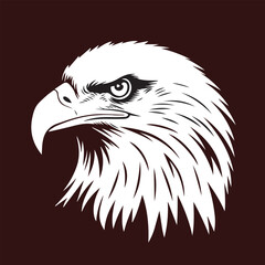 Obraz premium Eagle vector. angry eagle
