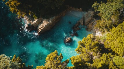 Aerial view of hidden cove, turquoise water, pine trees, rocky cliffs, summer vacation