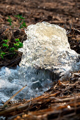 pump pipe water flow equipment agriculture, pump pipe water flow equipment agriculture, Water from a well filled a pond for irrigation,Irrigation water from the source