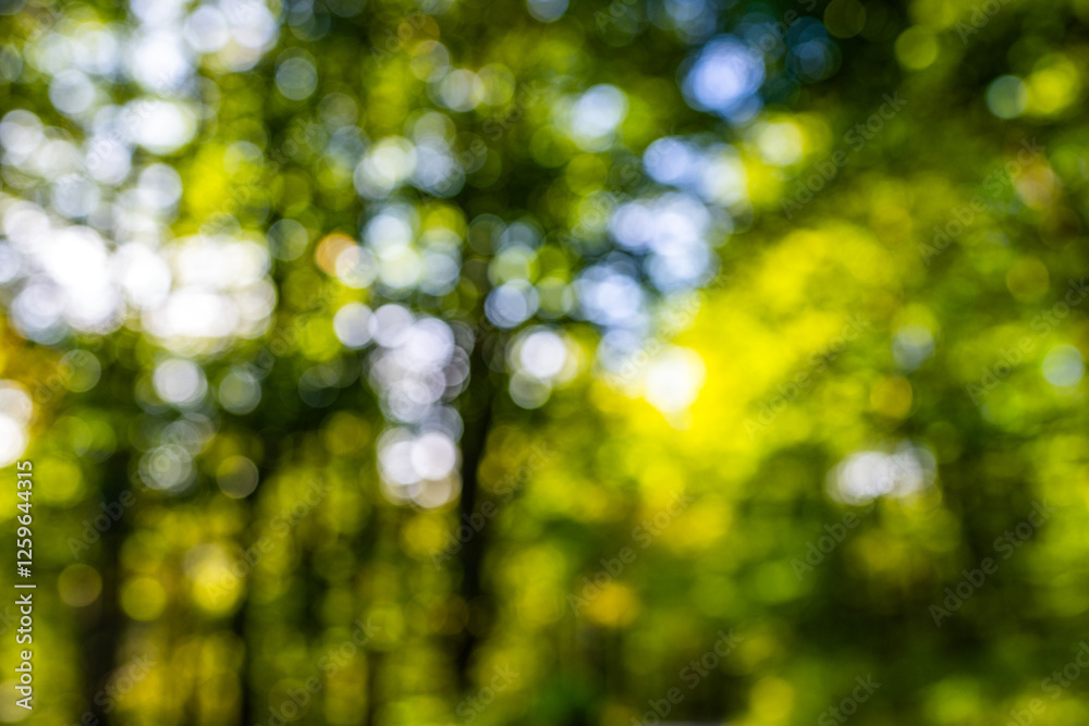 Wall mural blurred greenery leaves of tree forest. selective focus. fresh green background for summer design. g