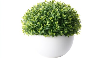 Artificial Green Bush in White Pot