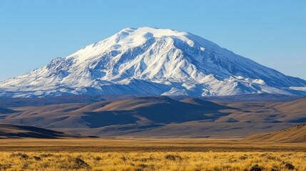 Majestic snowy mountain towering above golden grasslands landscape